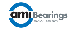 AMI BEARINGS INC